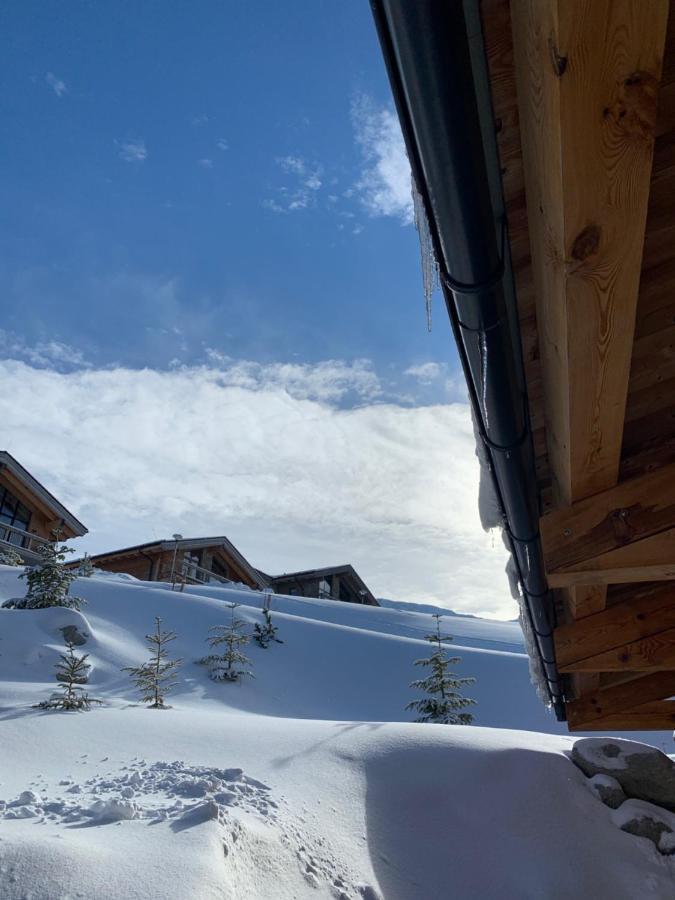 Challet Jasna Exclusive **** เดมานอฟสกา โดลินา ภายนอก รูปภาพ